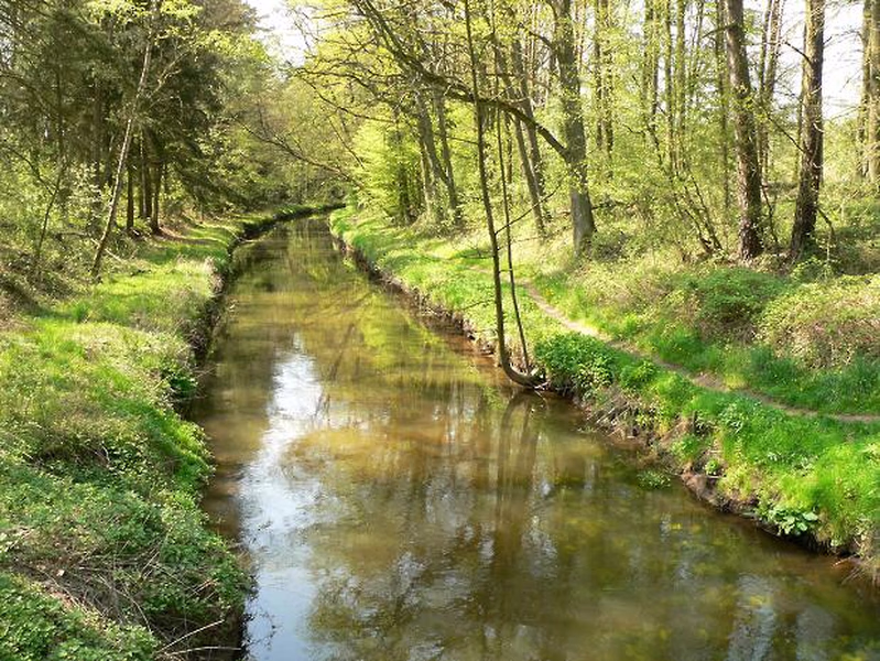 Blick auf den Allerkanal, der sich durch grüne Landschaft zieht