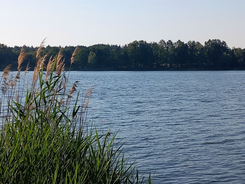 Eine Landkarte vom Tankumsee