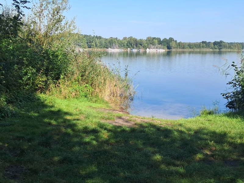 Ein ruhiger See mit Schilf am Ufer, im Hintergrund Bootsstege und Segelboote
